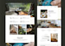 build professional travel agency and tour wordpress website
